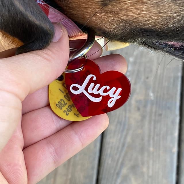 A close-up of Lucy's red personalized heart tag